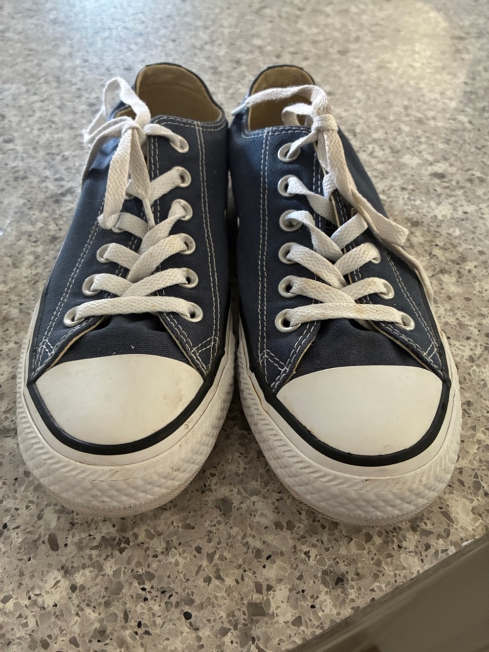 Classic Low-Top Canvas Sneakers in Navy Blue